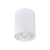 Sufitowa oprawa punktowa BORD DLP-50-W 22551 Kanlux