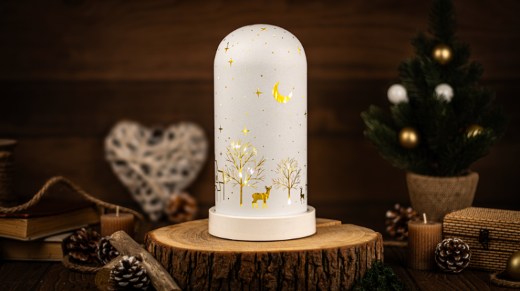 Lampka świąteczna LED, widok, szklana, bateryjna (X25009) Timer 6+18h, 10LED, 3000K, 3xAA CHRGW10WW Tracon Electric