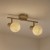 Lampa sufitowa DEX 2xE14 ML2118 Milagro