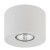 ORION S WHITE Lampa sufitowa 1 PŁ 3234 TK Lighting Biały