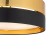 HILTON BLACK/GOLD Lampa sufitowa 4 450 4180 TK Lighting Biały Złoty, Czarny