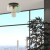 MARCO GREEN Lampa sufitowa 3 3318 TK Lighting Złoty, Czarny Transparentny, Zielony, Brązowy