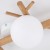 SHERON WHITE Lampa sufitowa 4 5309 TK Lighting Biały, Sosna Biały