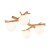 SHERON WHITE Lampa sufitowa 4 5309 TK Lighting Biały, Sosna Biały