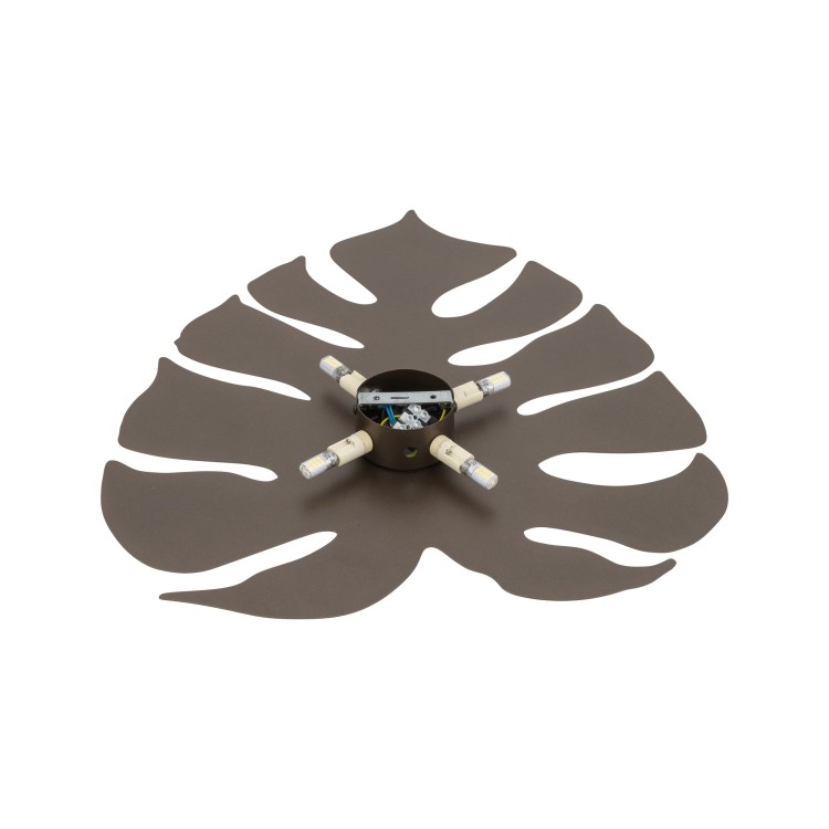 MONSTERA XL BROWN Kinkiet 4XG9 5822 TK Lighting Brązowy Brązowy