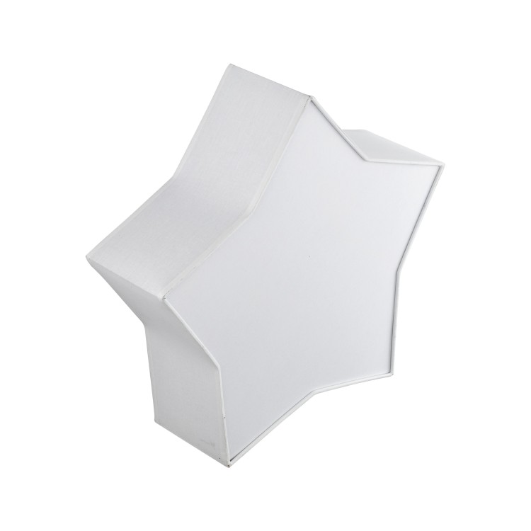 STAR WHITE Lampa sufitowa 2 4514 TK Lighting Biały Biały