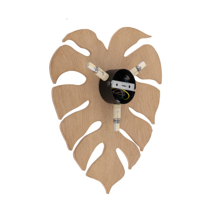 MONSTERA WOOD DĄB Kinkiet 3 5422 TK Lighting Dąb, Czarny Dąb