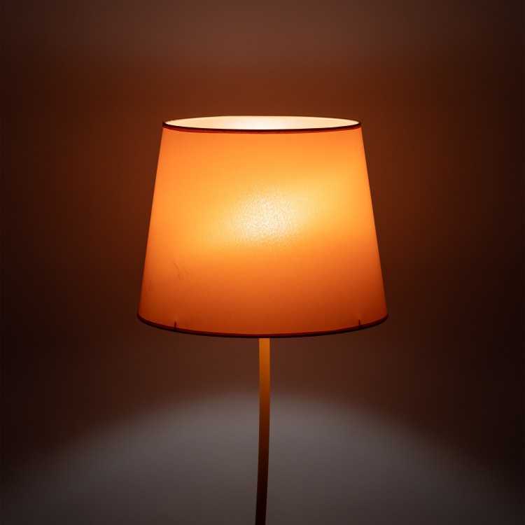 NICOLA ORANGE Lampa podłogowa 1 S 6644 TK Lighting Pomarańczowy Pomarańczowy