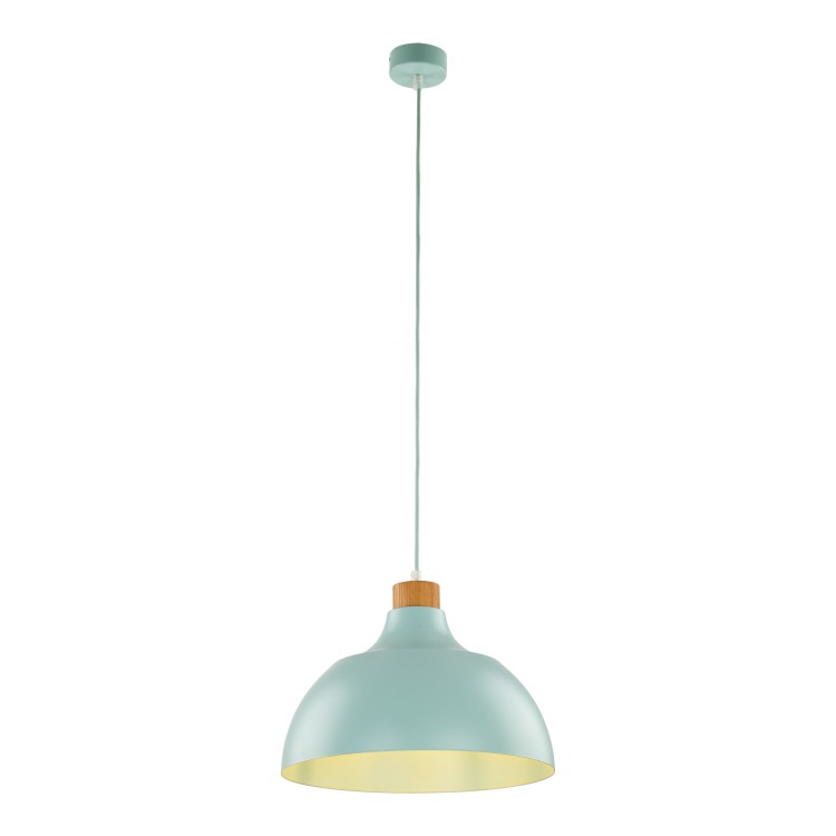 CAP MINT Lampa wisząca 1 5901 TK Lighting Sosna Miętowy