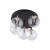NILOS BLACK / GOLD Lampa sufitowa 5PŁ 758 TK Lighting Złoty, Czarny Transparentny