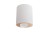 Lampa sufitowa spot Industrialna Loft SET WHITE/GOLD 8896 NOWODVORSKI Lighting GU10 nowoczesna oprawa oświetleniowa punktowa biało-złota tuba z regulacją metal Inspiracje Premium