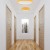NICOLA YELLOW Lampa sufitowa 380 10154 TK Lighting Biały Biały, Żółty