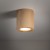 EVE WOOD BUK Lampa sufitowa 1 10121 TK Lighting Buk
