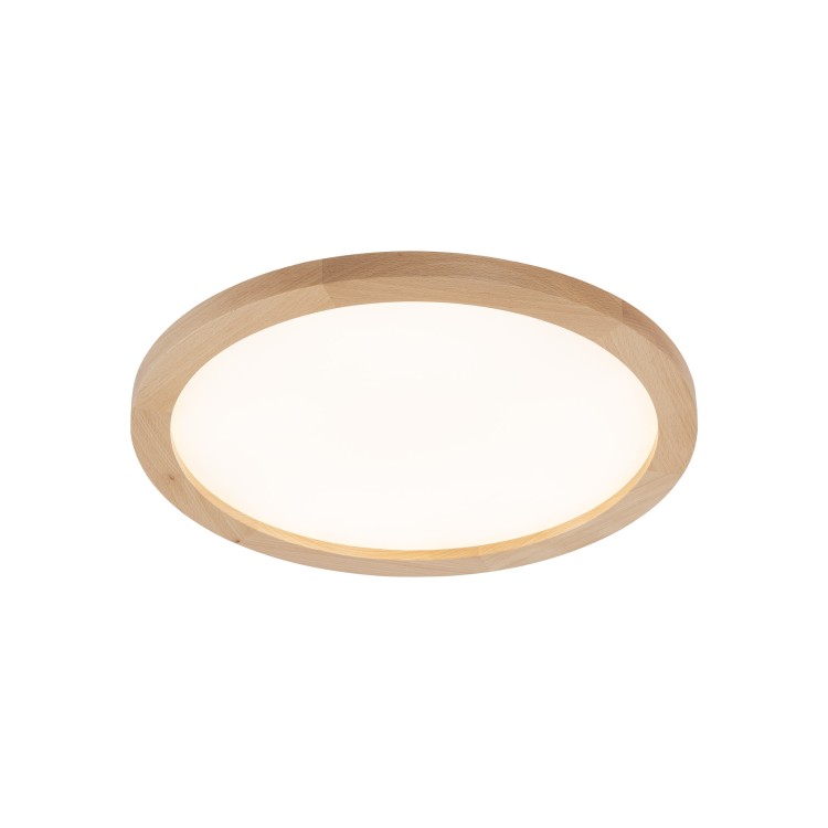 AQUA WOOD BUK 400 36W LED 18011 TK Lighting Buk