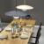 SLATE SABIA GLASS 10910 TK Lighting  Biały