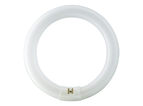 Świetlówka kołowa LED G10q 40W 840 4000K 928027484070 TL-E 40W/840 1CT/12 PHILIPS LIGHTING MASTER TL-E Circular Super 80 NW barwa neutralna biała