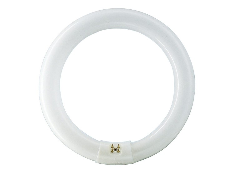 Świetlówka kołowa LED G10q 40W 840 4000K 928027484070 TL-E 40W/840 1CT/12 PHILIPS LIGHTING MASTER TL-E Circular Super 80 NW barwa neutralna biała