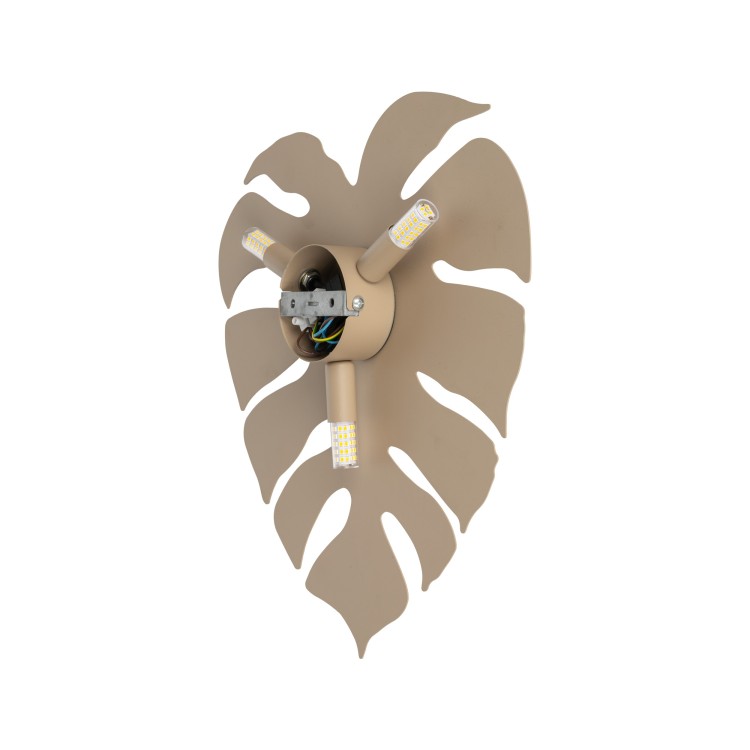 MONSTERA SABIA Kinkiet 3 10626 TK Lighting  Sabia