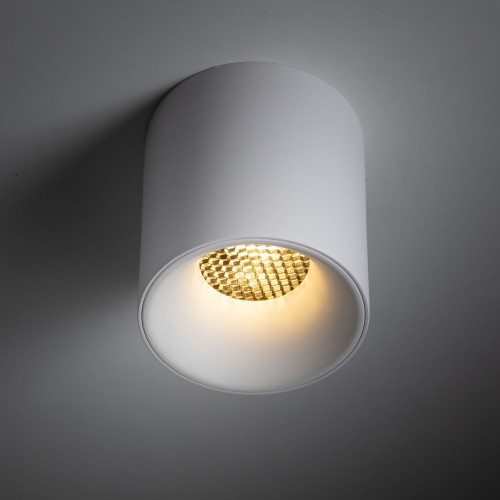 BLAZE WHITE CCT 12W 18157 TK Lighting Biały Biały, Czarny