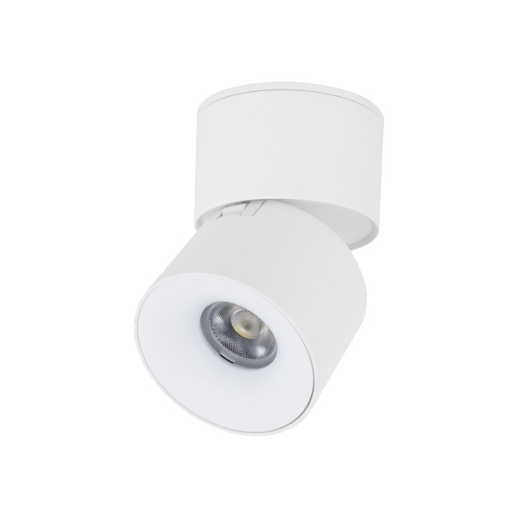 SPARK WHITE CCT 10W 18168 TK Lighting Biały Biały