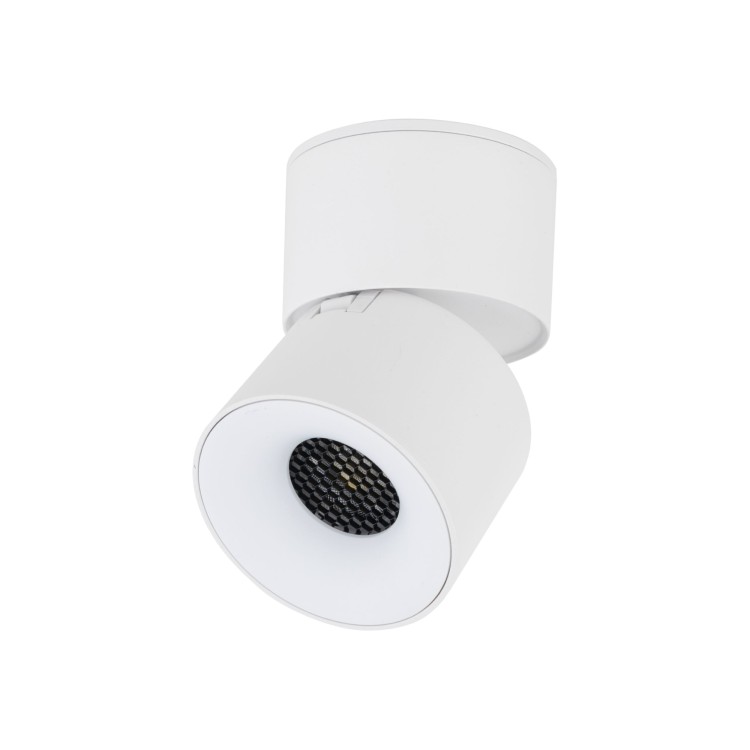SPARK WHITE CCT 10W 18168 TK Lighting Biały Biały