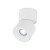 SPARK WHITE CCT 10W 18168 TK Lighting Biały Biały