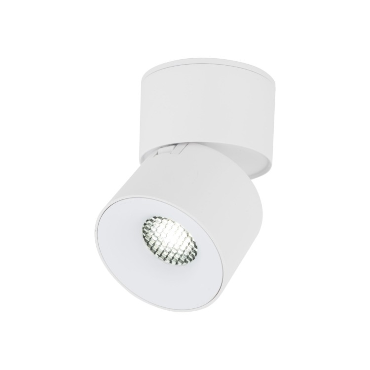 SPARK WHITE CCT 10W 18168 TK Lighting Biały Biały