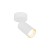 AMIS WHITE Oprawa oświetleniowa 1 10794 TK Lighting Biały Biały, Złoty