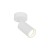 AMIS WHITE Oprawa oświetleniowa 1 10794 TK Lighting Biały Biały, Złoty