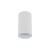 AMIS WHITE Downlight 10719 TK Lighting Biały Biały, Złoty