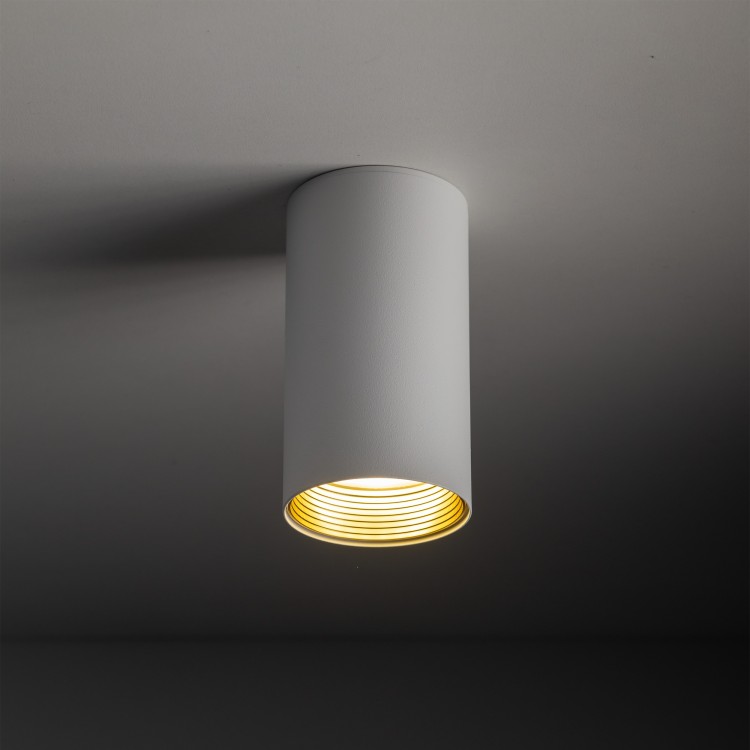 AMIS WHITE Downlight 10719 TK Lighting Biały Biały, Złoty