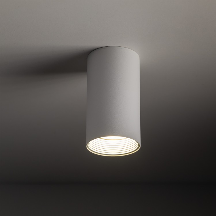 AMIS WHITE Downlight 10719 TK Lighting Biały Biały, Złoty