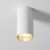 AMIS WHITE Downlight 10719 TK Lighting Biały Biały, Złoty