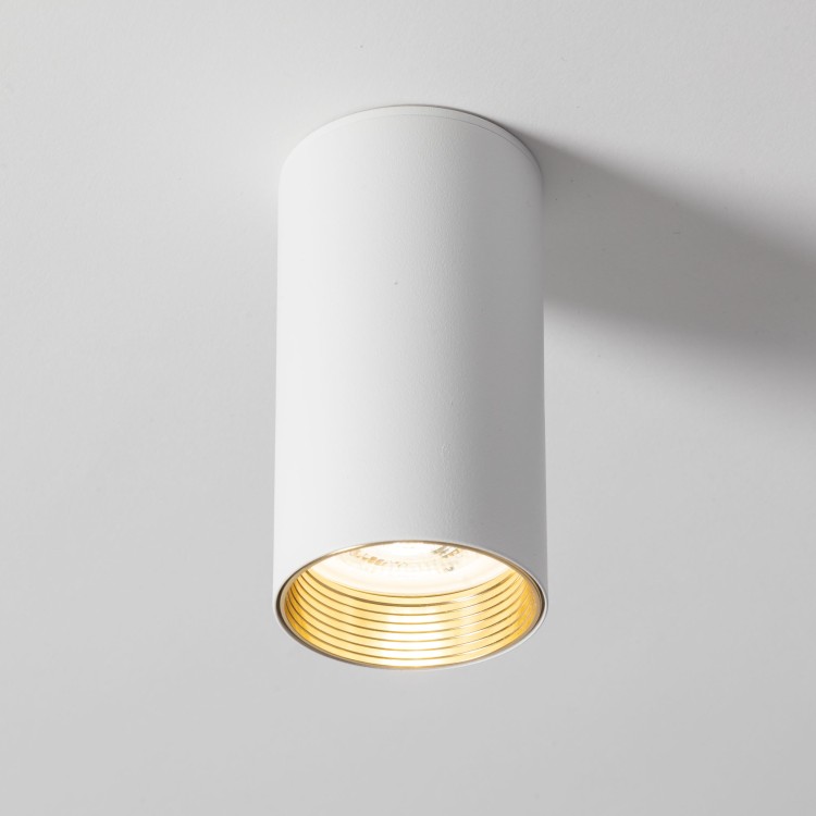 AMIS WHITE Downlight 10719 TK Lighting Biały Biały, Złoty