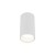 AMIS WHITE Downlight 10719 TK Lighting Biały Biały, Złoty