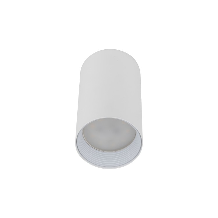 AMIS WHITE Downlight 10719 TK Lighting Biały Biały, Złoty