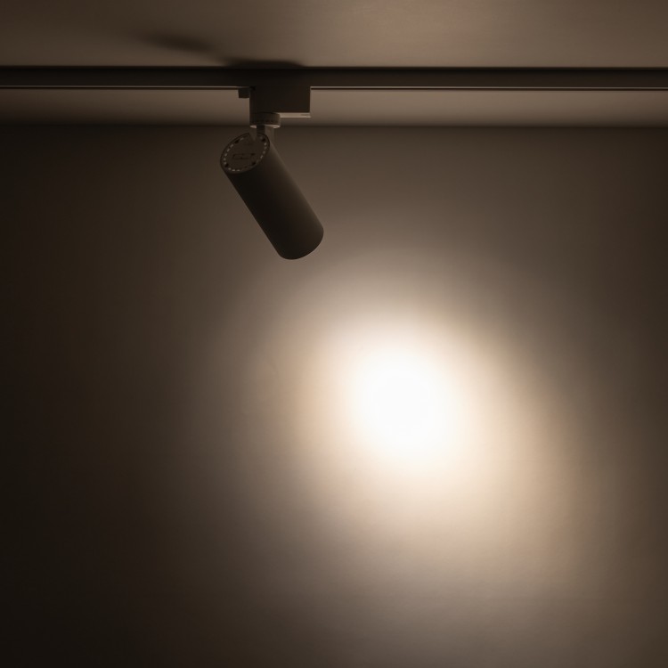 TRACER WHITE CCT 10W 18179 TK Lighting Biały Transparentny