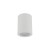 LIGNO WHITE GU10 10932 TK Lighting Biały Transparentny