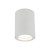 LIGNO WHITE GU10 10932 TK Lighting Biały Transparentny