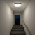 Plafon Nemo Czarny 36W LED ML1836 Milagro