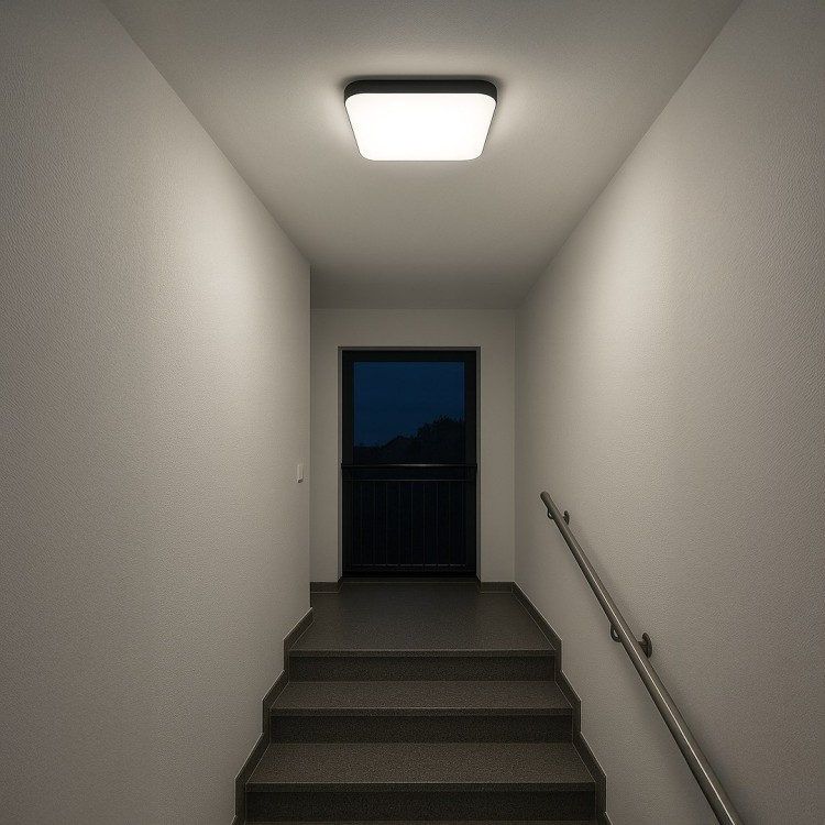 Plafon Nemo Czarny 36W LED ML1836 Milagro