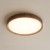 Plafon FOREST 24W LED Ø390 ML2054 Milagro