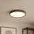 Plafon FOREST 24W LED Ø390 ML2054 Milagro