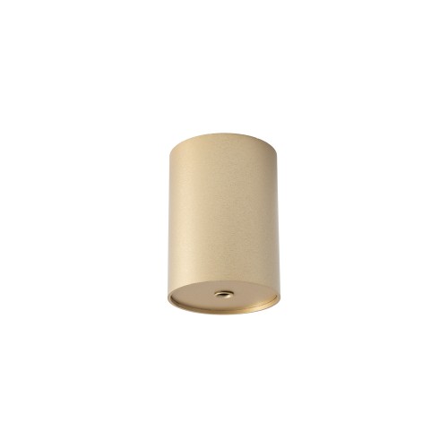 CAMELEON CANOPY E 12120 Nowodvorski Lighting Puszka Szczotkowane złoto Inspiracje Premium