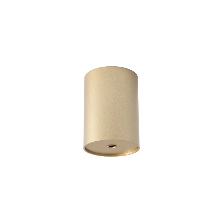 CAMELEON CANOPY E 12120 Nowodvorski Lighting Puszka Szczotkowane złoto Inspiracje Premium