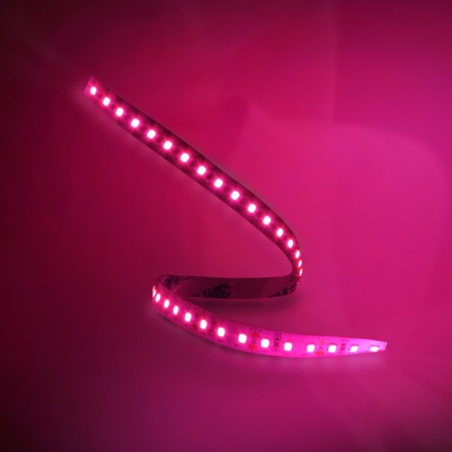 Taśma LED różowa 90lm/m 5m  ORO STRIP 600L 2835 NWD BRIGHT PINK ORO09074 LED-POL