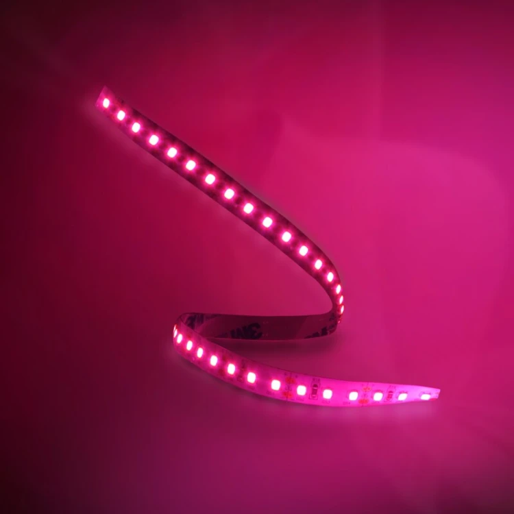 Taśma LED różowa 90lm/m 5m  ORO STRIP 600L 2835 NWD BRIGHT PINK ORO09074 LED-POL