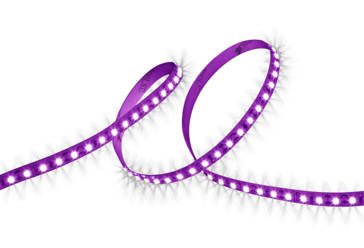 Taśma LED fioletowa 90lm/m 5m  ORO STRIP 600L 2835 NWD VIOLET ORO09071 LED-POL