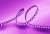 Taśma LED fioletowa 90lm/m 5m  ORO STRIP 600L 2835 NWD VIOLET ORO09071 LED-POL