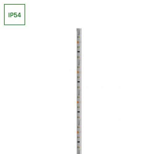 Pasek LED 2835 12V 60LED 4,8W/m 336lm/m CW 8mm IP54 2LATA 20m roll WOJ+14424_ROLL SPECTRUM LED